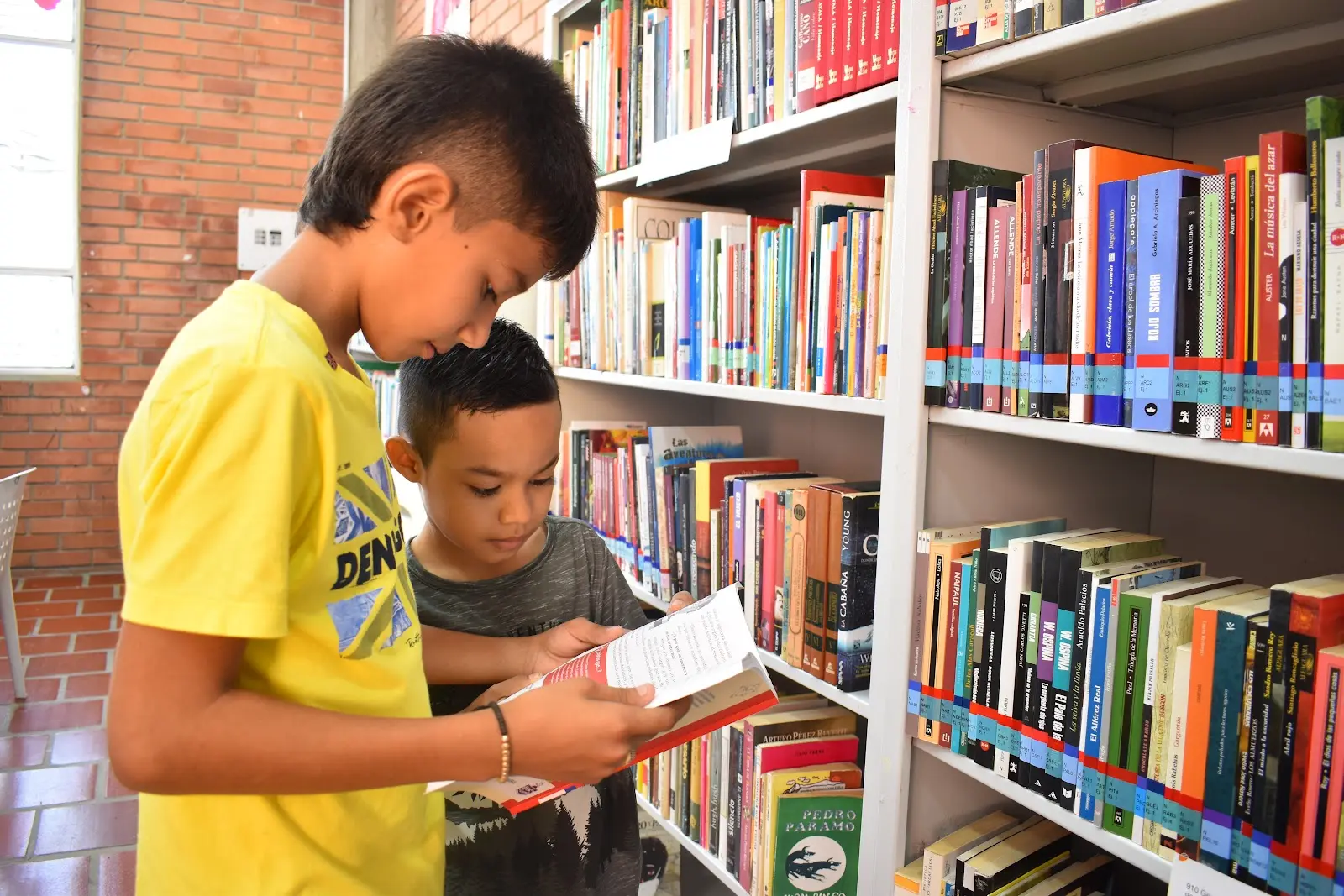 Imagen de Red Municipal de Lectura y Escritura de Cúcuta